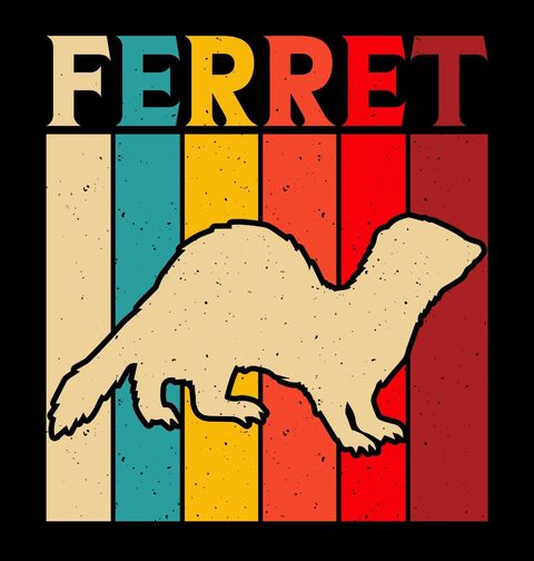 Obrázek produktu Dětské tričko Barevná Fretka Ferret
