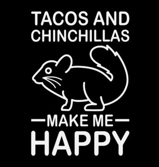 Obrázek 2 produktu Dětské tričko Tacos a Činčily
