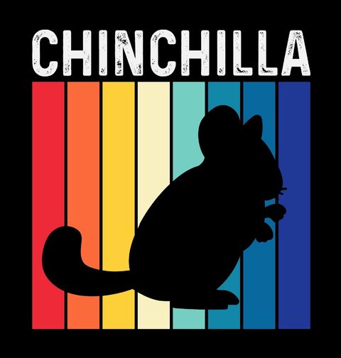 Obrázek produktu Pánská mikina Retro Činčila Chinchilla