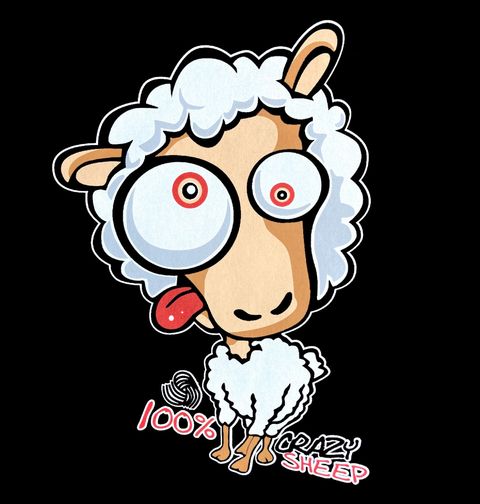 Obrázek produktu Dámské tričko 100% Bláznivá Ovce 100% Crazy Sheep