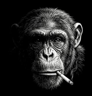 Obrázek 2 produktu Pánské tričko Šimpanz s Cigaretou