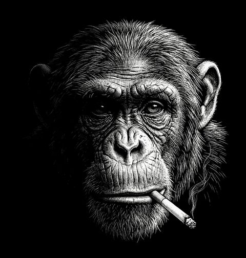 Obrázek produktu Pánské tričko Šimpanz s Cigaretou