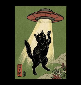 Obrázek 2 produktu Pánská mikina Kočičí UFO Únos
