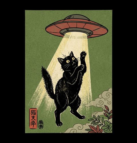 Obrázek produktu Pánská mikina Kočičí UFO Únos