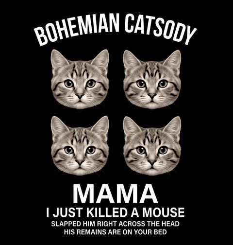 Obrázek produktu Pánská mikina Bohemian Catsody
