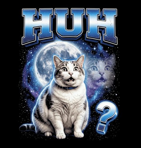 Obrázek produktu Dětské tričko Huh? Meme Cat