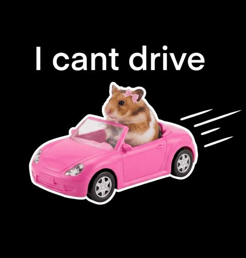 Obrázek produktu Pánské tričko Řidič Křeček Neumím Řídit I Can't Drive