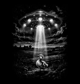 Obrázek 2 produktu Dětské tričko Kachňátko pod UFO