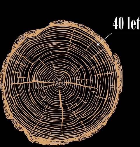Obrázek produktu Pánské tričko 40 Let Života v Letokruzích