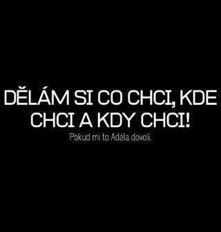 Obrázek 2 produktu Pánské tričko Pokud mi to Adéla dovolí. Dělám si co chci, kde chci a kdy chci!