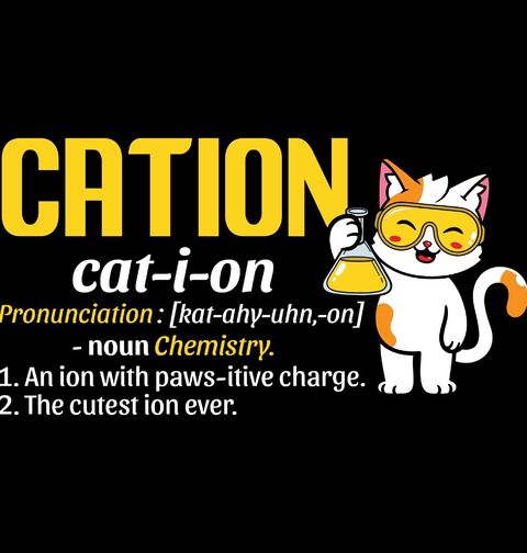 Obrázek produktu Dámské tričko Kation Kočičí Chemie Cation The Cutest Ion Ever