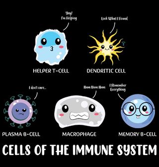 Obrázek 1 produktu Dámské tričko Buňky Imunitního Systému Cells of the Immune System