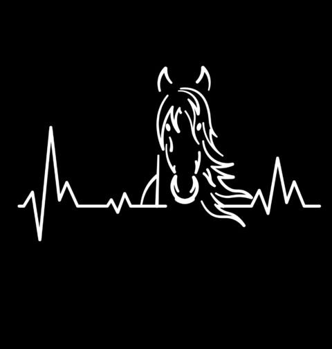 Obrázek produktu Pánské tričko Kardiogram a Kůň