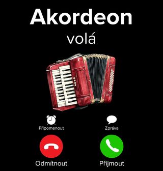 Obrázek 1 produktu Dětské tričko Akordeon volá Phone Call