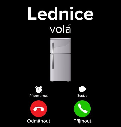 Obrázek produktu Dětské tričko Lednice volá Phone Call