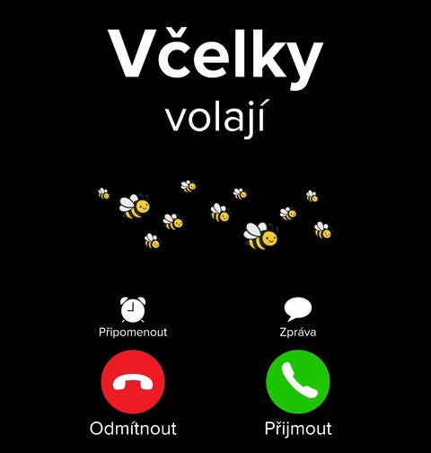 Obrázek produktu Pánské tričko Včelky volají Phone Call