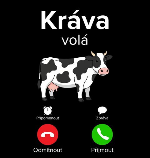 Obrázek produktu Dámské tričko Kráva volá Phone Call