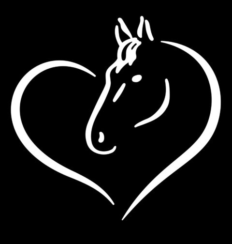 Obrázek produktu Dámské tričko Koňská láska