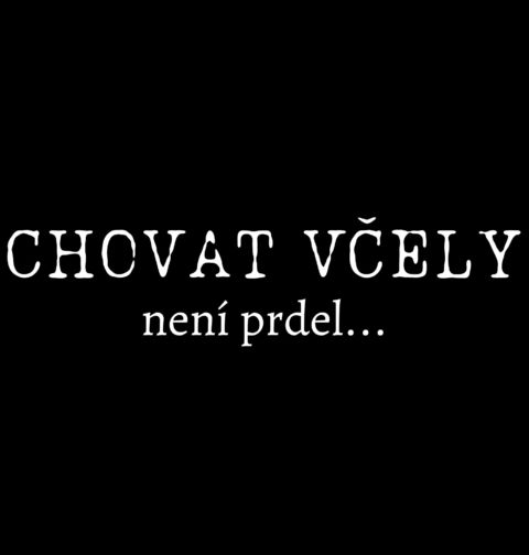 Obrázek produktu Pánské tričko Chovat včely není prdel