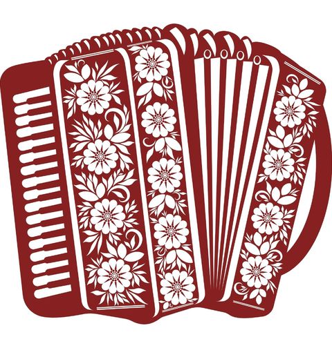 Obrázek produktu Dětské tričko Lidový Akordeon Folk