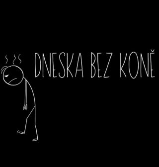 Obrázek 1 produktu Dámské tričko Dneska bez Koně Stickman