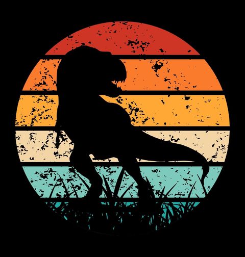 Obrázek produktu Pánské tričko Silueta Tyranosaura Rexe Retro
