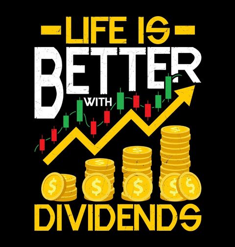 Obrázek produktu Pánské tričko Dividendový Investor