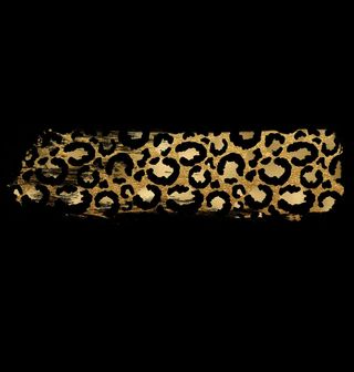 Obrázek 2 produktu Pánská mikina Leopardí Potisk