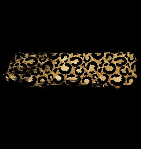 Obrázek produktu Dětské tričko Leopardí Potisk