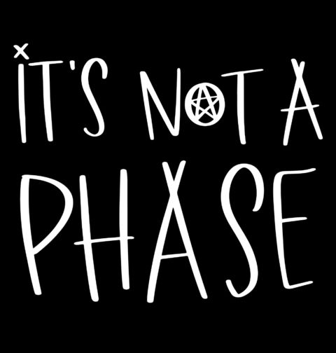Obrázek produktu Pánská mikina Není To Fáze It's Not a Phase