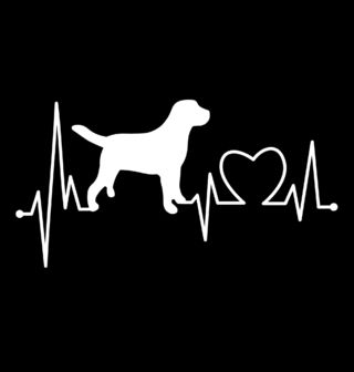 Obrázek 2 produktu Pánské tričko Kardiogram a Pes (Velikost: M)