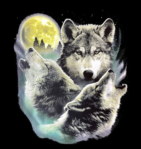 Obrázek produktu Pánské tričko Tři Vlci Vyjící Na Měsíc