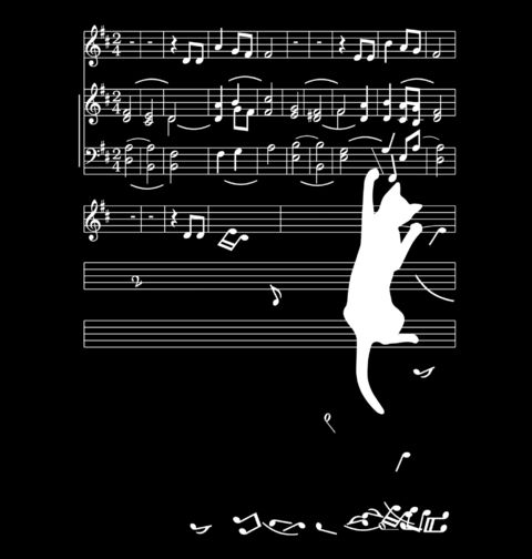 Obrázek produktu Dámské tričko Kočka a Noty