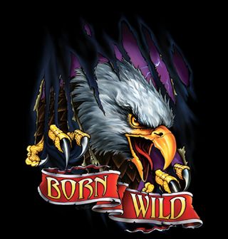 Obrázek 2 produktu Dámské tričko Bělohlavý Orel Born Wild