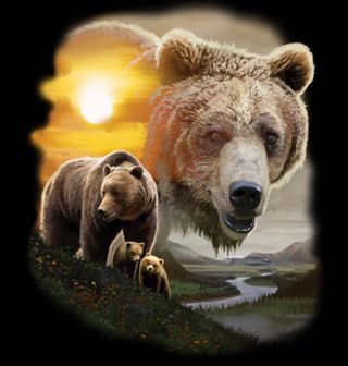 Obrázek 2 produktu Pánské tričko Medvěd Grizzly