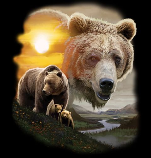 Obrázek produktu Dámské tričko Medvěd Grizzly