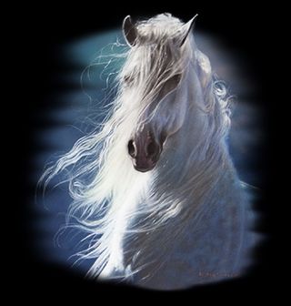 Obrázek 2 produktu Pánské tričko Bílý kůň ve větru