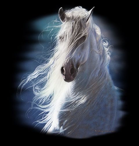 Obrázek produktu Pánské tričko Bílý kůň ve větru