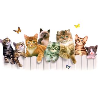 Obrázek 2 produktu Dámské tričko Kočičky na plotě