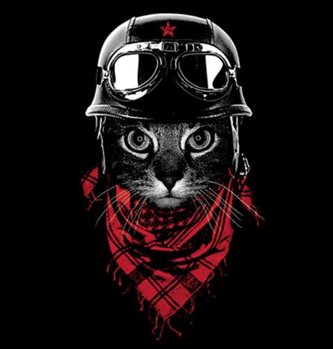 Obrázek produktu Pánské tričko Dobrodružná Kočka