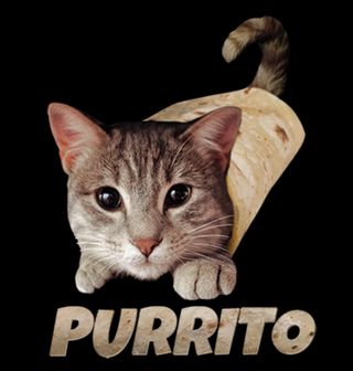 Obrázek 2 produktu Dámské tričko Kočičí Burrito Purrito