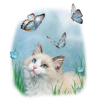 Obrázek 2 produktu Pánské tričko  Kočka a motýli