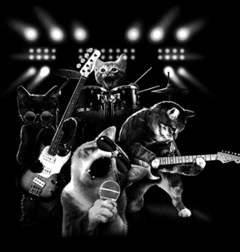 Obrázek produktu Pánské tričko Kočičí metalová skupina