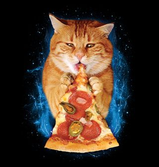 Obrázek 2 produktu Dámské tričko Kočka a pizza
