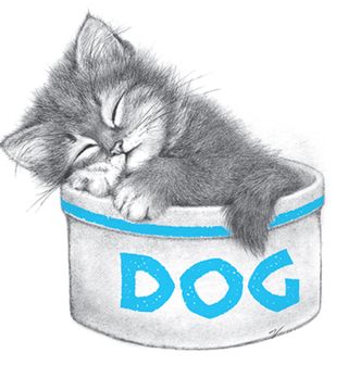 Obrázek 2 produktu Dámské tričko Kočka v misce