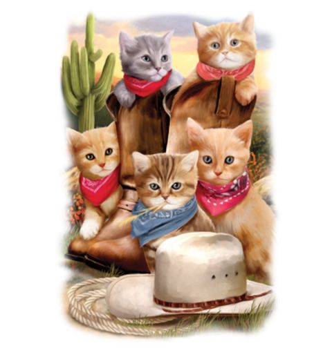 Obrázek produktu Pánské tričko Western kočičky