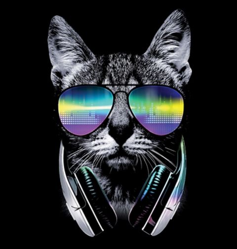 Obrázek produktu Dámské tričko DJ Kočka
