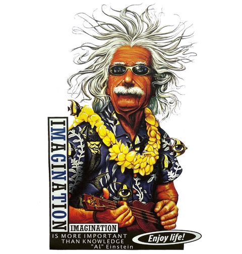 Obrázek produktu Dámské tričko Havajský Einstein s ukulele