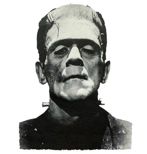 Obrázek produktu Dámské tričko Frankenstein