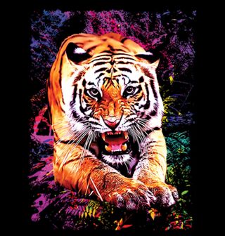Obrázek 2 produktu Dámské tričko Tygr s Aurou Barev